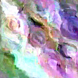 Ranunculus Flower Bulbs 16 Pink Picotee Corms - Perennial Peony-like Flowers for Garden & Bouquets - Image 5