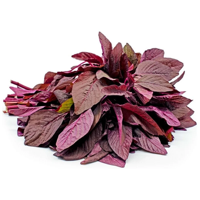 Red Amaranth Seeds Heirloom Non-GMO Annual Edible Leaf Vegetable Seeds - Image 1