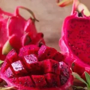 Red Dragon Fruit Seeds - Pitaya Hylocereus Undatus - Easy Grow Cactus, 25+ Seeds - Image 1