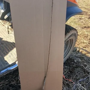 Red Haven Peach Tree Live Plant – Bare Root – 2-3 ft Tall – Outdoor - Image 3