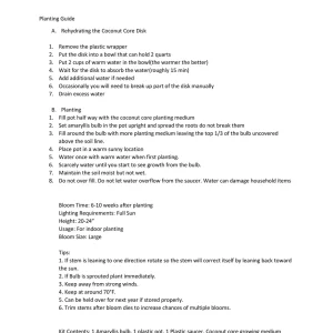 Red Lion Amaryllis Gift Growing Kit - Bulb, Ceramic Pot, Burlap Bag - Image 4