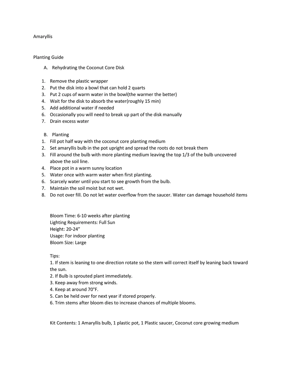 Red Lion Amaryllis Kit - Indoor Bulb Plant - Deep Red Flowers - 20-24 Inches Tall - Image 5