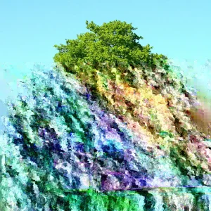 Red Maple Tree Live Starter Plants 4-8 Inch Seedlings - Set of 2 - Image 2