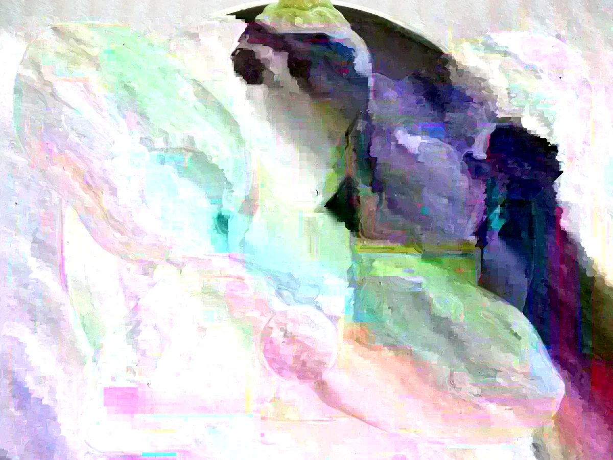 Red Pimento Pepper Seeds - 500 Count Vegetable Seeds for Outdoor Gardens - Image 2