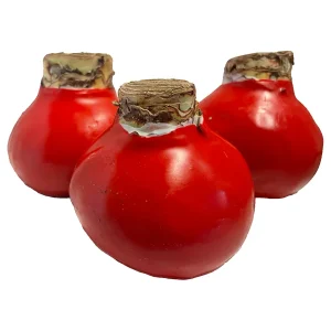 Red Waxed Amaryllis Bulbs 3 Pack - 28/30cm - No Water Holiday Decoration - Image 2