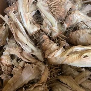 Rio Vista Iris Reblooming Bearded Iris Germanica Bareroot - Lavender Flowers, Zones 3-10 - Image 5