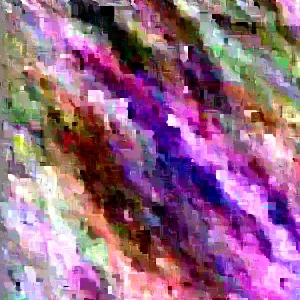 Rose of Sharon Live Plant 6-12 Inches Tall - Hibiscus syriacus Outdoor Shrub - Image 4