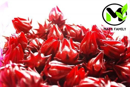 Roselle Seeds - Grow Hibiscus Sabdariffa for Tea & Culinary Use - Image 2