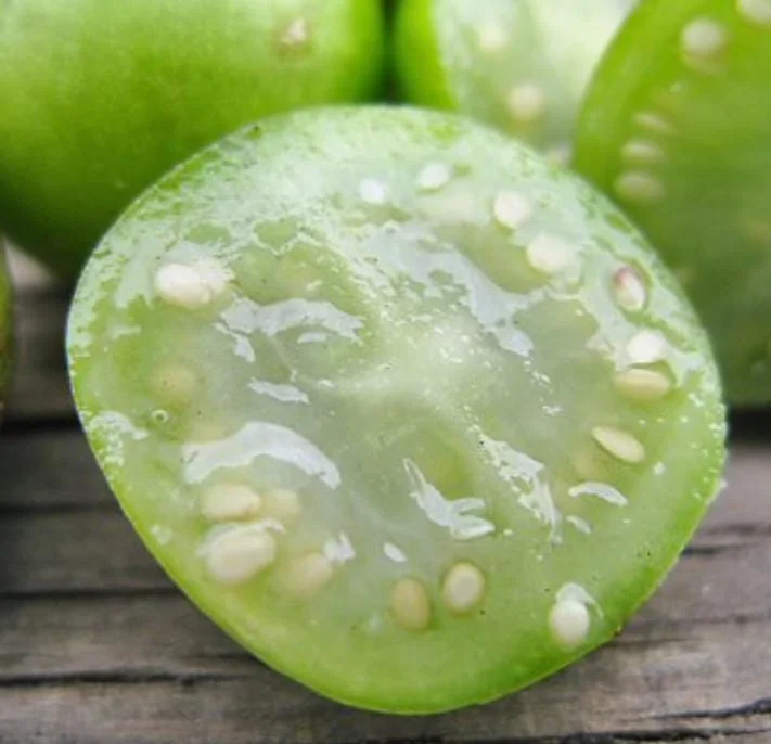 Russet Potato Seeds - 70 Heirloom True Potato Seeds for Planting - Grow Your Own - Image 4