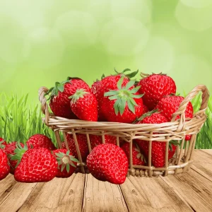 Rutgers Scarlet Strawberry Roots – June Bearing Bare Root Plants – Large Sweet Firm Berries - Image 1