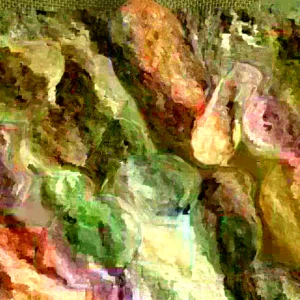 Organic Potato Seed Tubers Mix - Purple, Red, Yukon, Russet - 2 Pounds for Planting - Image 2