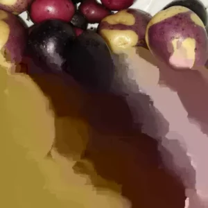 Organic Potato Seed Tubers Mix - Purple, Red, Yukon, Russet - 2 Pounds for Planting - Image 7