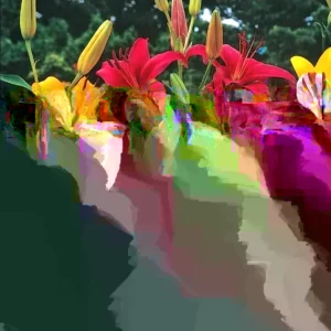 6 Asiatic Lily Flower Bulbs Mix - Perennial Butterfly Garden Plants - Image 2