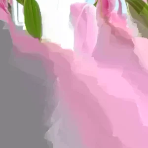 10 Mixed Lily Flower Bulbs - Oriental, Asiatic, Orienpet, Roselily, Tree Lilies - Image 1