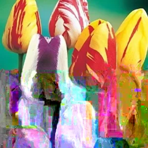 5 Tulip Flower Bulbs Mixed Colors Rembrandt Tulips - Easy Grow Perennial - Image 5