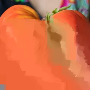 Big Zac Tomato Seeds – 25 Organic Heirloom Competition XL Size Vegetable Seeds for Garden - Image 1