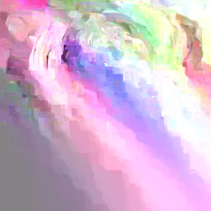 Purple Ranunculus Bulbs - 30 Quality Corms for Planting - Indoor & Outdoor Flowers - Image 2