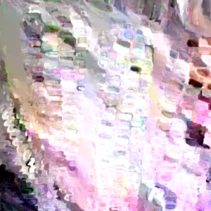 Oaxacan Green Dent Corn Seeds - 100 Heirloom Organic Zapotec Corn Seeds for Flour or Sweet - Image 5