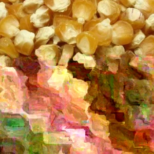 Golden Bantam Organic Sweet Corn Seeds - Heirloom, Non-GMO - 200 Seeds - Image 2