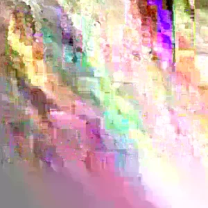 Bloody Butcher Red Corn Seeds - Heirloom Organic, High Protein, 100 Seeds - Image 5