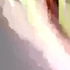 Bloody Butcher Red Corn Seeds - Heirloom Organic, High Protein, 100 Seeds - Image 2