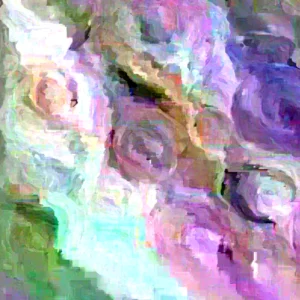 Ranunculus Flower Bulbs 16 Pink Picotee Corms - Perennial Peony-like Flowers for Garden & Bouquets - Image 4