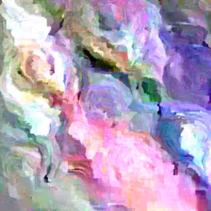 Ranunculus Flower Bulbs 16 Pink Picotee Corms - Perennial Peony-like Flowers for Garden & Bouquets - Image 3