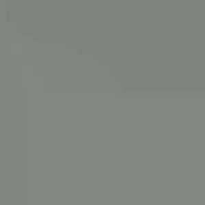 Ranunculus Flower Bulbs - 15 Rainbow Mix Corms - Perennial Flowers for Garden - Image 2