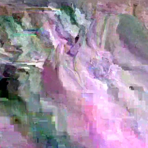 Jumbo Organic Softneck Garlic Bulbs - 3 Count for Planting, Easy to Grow - Image 9