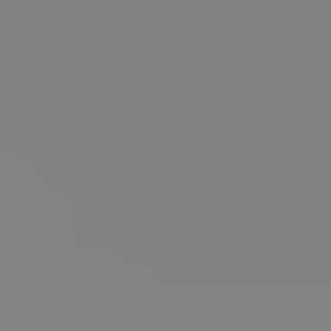 Sweet Lychee Live Air-layered Tree - 2 Feet Tall, Edible Fruit Tree, Outdoor - Image 2