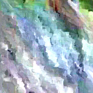 Annona Muricata Mountain Soursop Live Plant 12-20 inch Tree Tropical Outdoor - Image 3