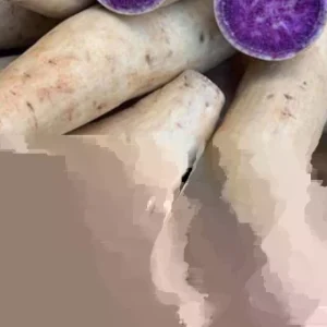 5 Purple Okinawa Sweet Potato Live Plants - Edible Vegetable, Indoor/Outdoor - Image 5