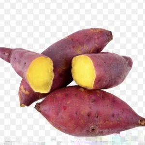 10 Organic Red Japanese Sweet Potato Cuttings - Ready to Plant Slips for Gardening - Image 1