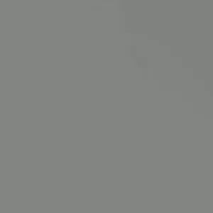 Annona Muricata Graviola Soursop Guanabana Live Plant Starter - 5-9 inches Tall Tropical Tree - Image 1