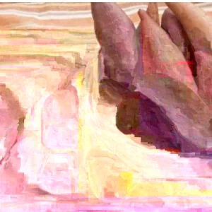 15 Beauregard Sweet Potato Slips - Organically Grown Cuttings - Full Sun Vegetable - Image 3