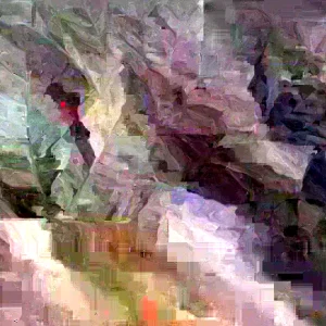 100 Fresh Organic Cashew Leaves - Naturally Grown foliage - Image 1