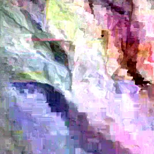 African Potato Mint Live Plant – Organic – 3 Plants in Cup – 5-8" Length - Image 1