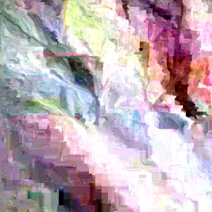 African Potato Mint Live Plant – Organic – 3 Plants in Cup – 5-8