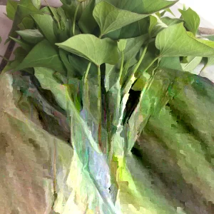 15 Okinawa Purple Sweet Potato Slips - Organic Cuttings - Live Plant - Image 1