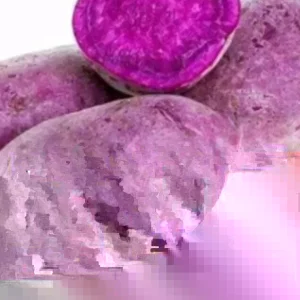 10 Molokai Purple Sweet Potato Slips - Organic Living Plants for Edible Garden - Image 5