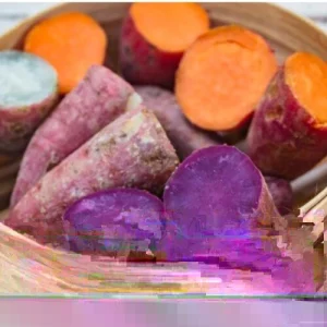 Sweet Potato Slips Variety Pack - 15 Cuttings: Red Skin White, Murasaki, Purple - Live Plant for Growing - Image 3