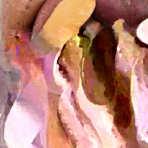 Sweet Potato Slips Variety Pack - 20 Live Cuttings (Purple, Okinawa, White, Orange) - Edible Garden Plants - Image 3