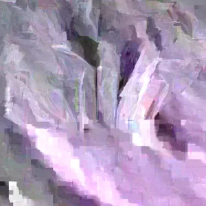 Sweet Potato Slips Variety Pack - 15 Cuttings - Red Japanese, Okinawa, Beauregard - Image 3