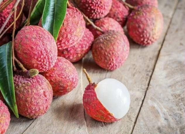 Sweet Lychee Live Air-layered Tree 2 Feet Tall - Fruit Plant Outdoor - Image 8