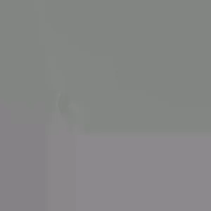 Sweet Tamarind Tree Live Plant – Thai Me Ngọt Variety, 4-12 Inch Tall, Outdoor - Image 3