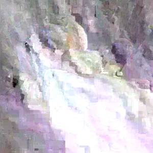 Organic Red Cassava Yuca Cuttings - Manihot Esculenta - 5 Live Cuttings - Sub-Tropical & Tropical - Image 3