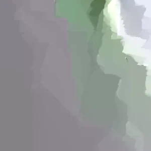 5 Live Purple Okinawa Sweet Potato Plants - Edible Vegetable, Potted, Indoor/Outdoor - Image 2