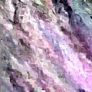 Grafted Mango Live Tropical Fruit Tree - 15-25 Inch Tall Plant - Indoor/Outdoor - Image 2