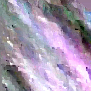 15 Okinawa Purple Sweet Potato Slips - Organic Cuttings for Planting - Image 2