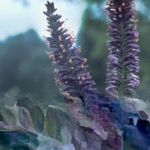 False Indigo Live Plant | Amorpha fruticosa | 12-16 Inches Tall | Set of 2 Outdoor Shrubs - Image 4